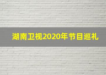 湖南卫视2020年节目巡礼