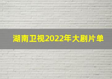 湖南卫视2022年大剧片单