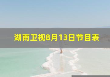 湖南卫视8月13日节目表