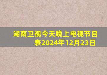 湖南卫视今天晚上电视节目表2024年12月23日