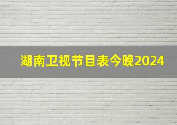 湖南卫视节目表今晚2024