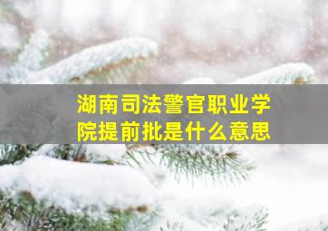 湖南司法警官职业学院提前批是什么意思