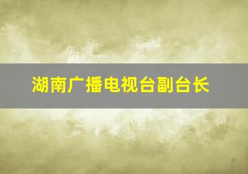 湖南广播电视台副台长