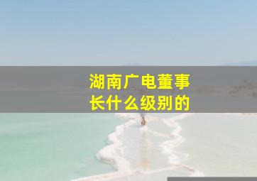 湖南广电董事长什么级别的