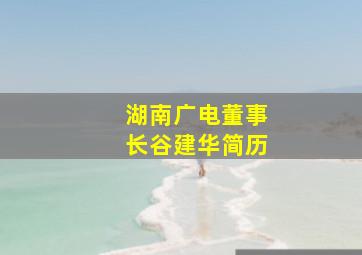 湖南广电董事长谷建华简历