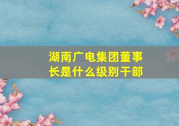 湖南广电集团董事长是什么级别干部