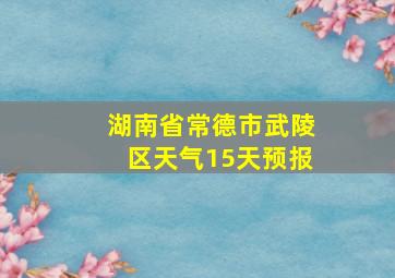 湖南省常德市武陵区天气15天预报