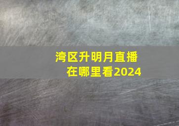 湾区升明月直播在哪里看2024