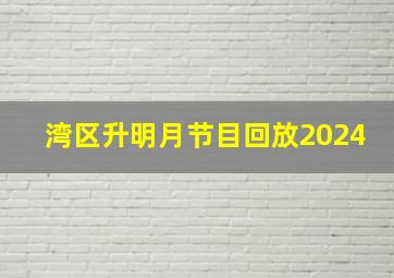 湾区升明月节目回放2024