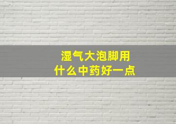 湿气大泡脚用什么中药好一点