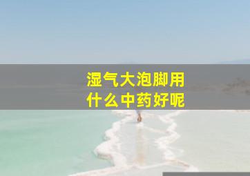 湿气大泡脚用什么中药好呢