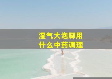 湿气大泡脚用什么中药调理