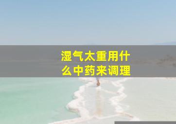 湿气太重用什么中药来调理