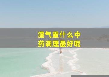 湿气重什么中药调理最好呢