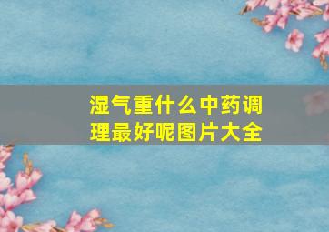 湿气重什么中药调理最好呢图片大全