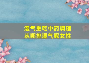 湿气重吃中药调理从哪排湿气呢女性