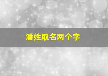 潘姓取名两个字