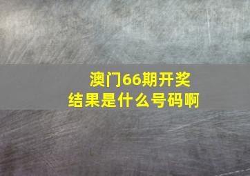 澳门66期开奖结果是什么号码啊