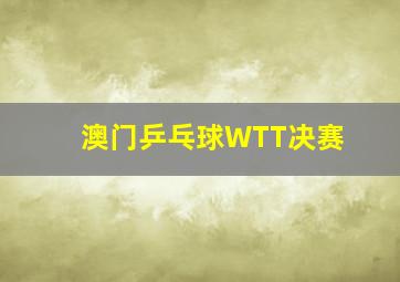 澳门乒乓球WTT决赛