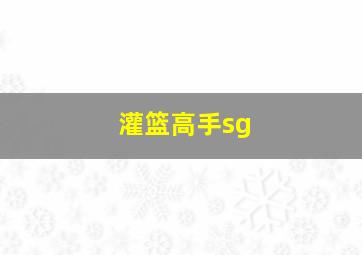 灌篮高手sg