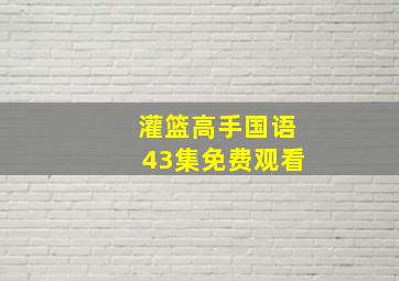 灌篮高手国语43集免费观看