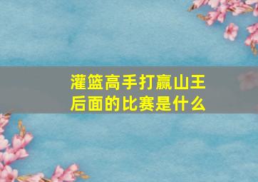 灌篮高手打赢山王后面的比赛是什么