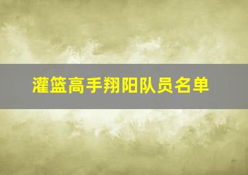 灌篮高手翔阳队员名单