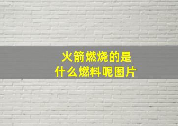 火箭燃烧的是什么燃料呢图片