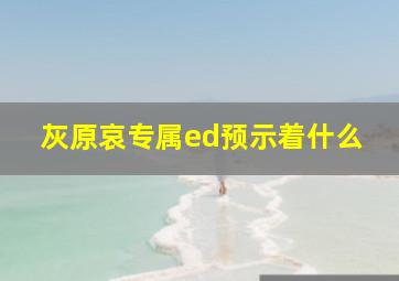 灰原哀专属ed预示着什么