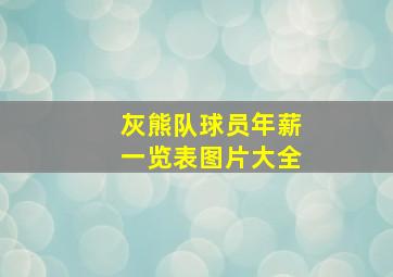 灰熊队球员年薪一览表图片大全