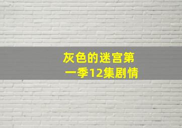 灰色的迷宫第一季12集剧情