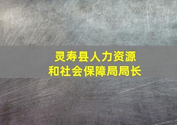 灵寿县人力资源和社会保障局局长