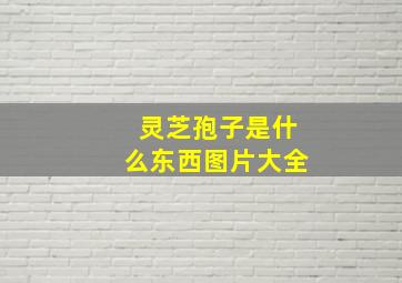 灵芝孢子是什么东西图片大全