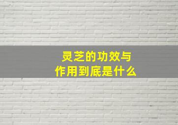 灵芝的功效与作用到底是什么