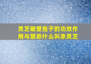 灵芝破壁孢子的功效作用与禁忌什么叫赤灵芝