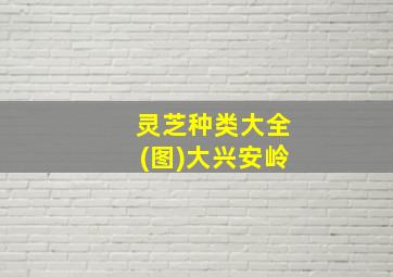 灵芝种类大全(图)大兴安岭