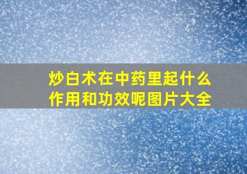 炒白术在中药里起什么作用和功效呢图片大全