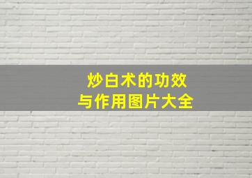 炒白术的功效与作用图片大全