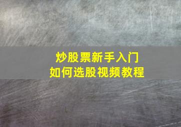 炒股票新手入门如何选股视频教程