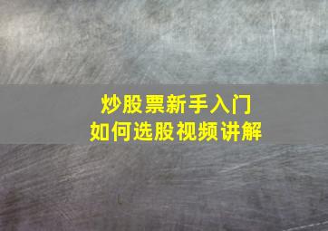 炒股票新手入门如何选股视频讲解