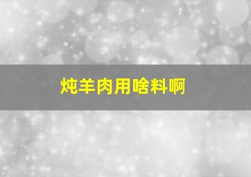 炖羊肉用啥料啊