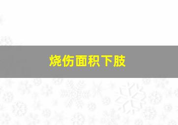 烧伤面积下肢