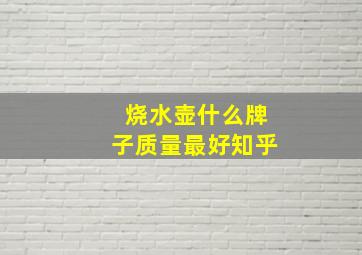 烧水壶什么牌子质量最好知乎