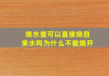 烧水壶可以直接烧自来水吗为什么不能烧开