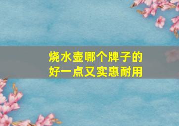 烧水壶哪个牌子的好一点又实惠耐用