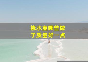 烧水壶哪些牌子质量好一点