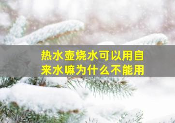 热水壶烧水可以用自来水嘛为什么不能用