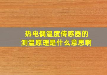 热电偶温度传感器的测温原理是什么意思啊