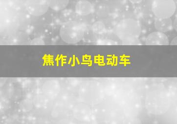 焦作小鸟电动车