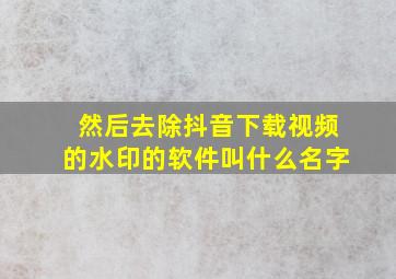 然后去除抖音下载视频的水印的软件叫什么名字